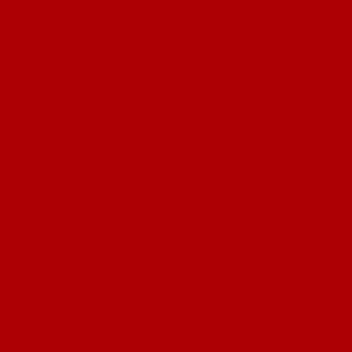 GENERAL MOTORS CORP AVEO 71U / 238L / 73U / 73L